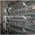 Design 5000 birds poultry house equipment broiler cages